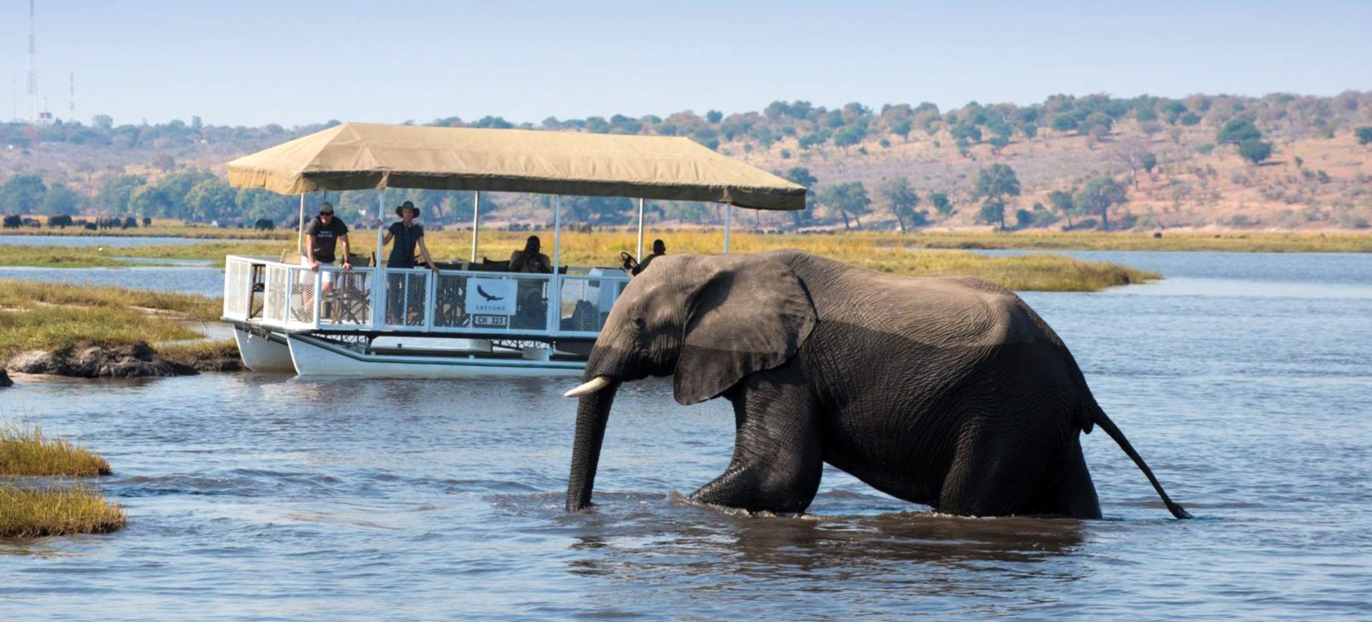 Chobe River Cruise Safari