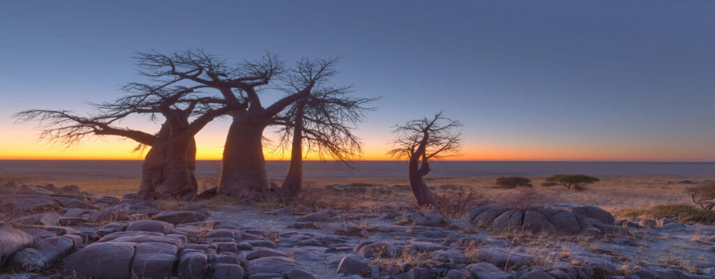makgadikgadi pans