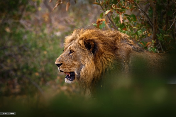 istockphoto 2195255979 2048x2048